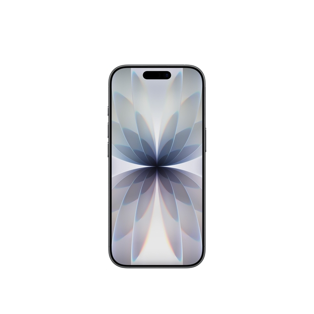 iPhone 17 256GB Black image 2