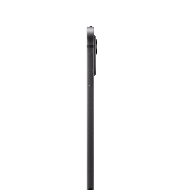 11-inch iPad Pro Wi_Fi 1TB with standard glass-Space Black image 2