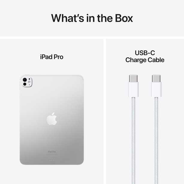 11-inch iPad Pro Wi_Fi 2TB with standard glass-Silver image 4